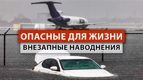 Новости Бердичева → Последние новости Бердичева за。